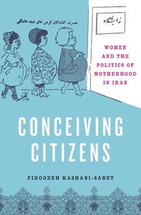 bokomslag Conceiving Citizens