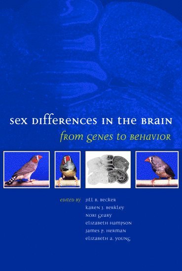 bokomslag Sex Differences in the Brain