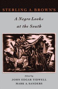 bokomslag Sterling A. Brown's A Negro Looks at the South