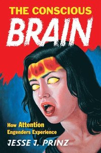 bokomslag Conscious Brain
