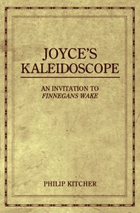 bokomslag Joyce's Kaleidoscope