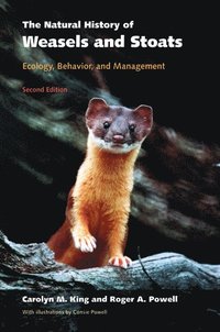 bokomslag The Natural History of Weasels and Stoats