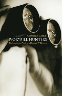 bokomslag Ivorybill Hunters