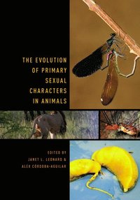 bokomslag The Evolution of Primary Sexual Characters in Animals