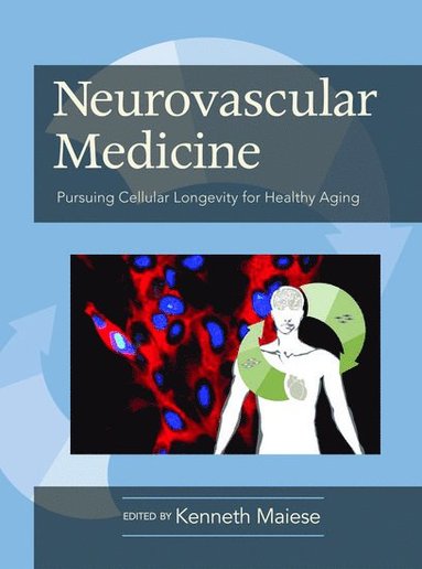 bokomslag Neurovascular Medicine