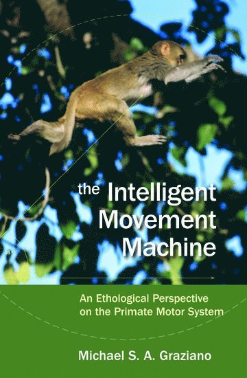 Intelligent Movement Machine 1