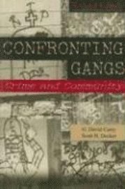 Confronting Gangs