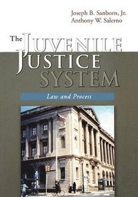 bokomslag The Juvenile Justice System