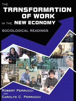 Robert Perrucci, Carolyn C. Perrucci, Robert Perrucci, Carolyn C. Perrucci - The Transformation of Work in the New Economy: Sociological Readings, Häftad