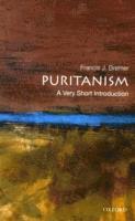 bokomslag Puritanism