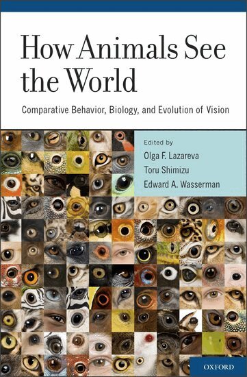 Olga F. Lazareva, Toru Shimizu, Edward A. Wasserman - How Animals See the World, Inbunden