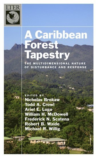 bokomslag A Caribbean Forest Tapestry