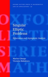 bokomslag Singular Elliptic Problems