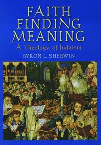 bokomslag Faith Finding Meaning