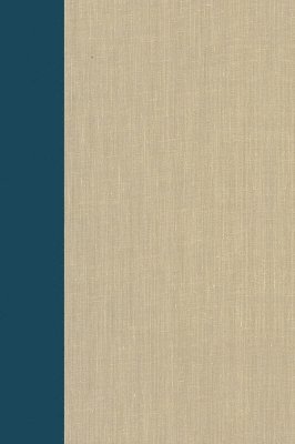 bokomslag Terrorism: Documents of International and Local Control: Volume 86