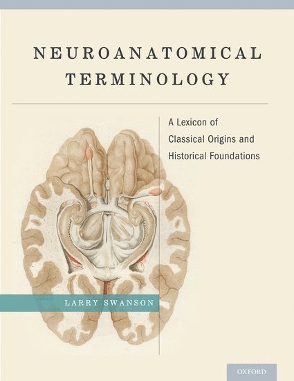 Neuroanatomical Terminology 1