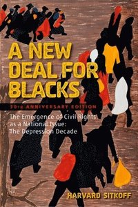 bokomslag A New Deal for Blacks