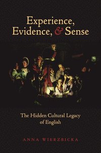 bokomslag Experience, Evidence, and Sense