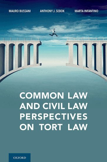 Mauro Bussani, Anthony Sebok, Marta Infantino - Common Law and Civil Law Perspectives on Tort Law, Inbunden