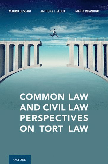 bokomslag Common Law and Civil Law Perspectives on Tort Law