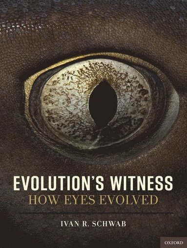 bokomslag Evolution's Witness