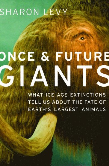 Once and Future Giants 1