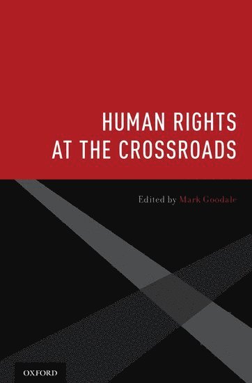 bokomslag Human Rights at the Crossroads