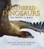 Feathered Dinosaurs 1