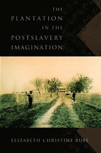 bokomslag The Plantation in the Postslavery Imagination