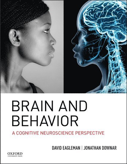 Brain and Behavior 1
