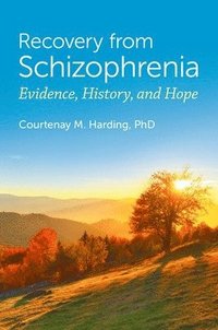 bokomslag Recovery from Schizophrenia