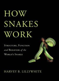 bokomslag How Snakes Work