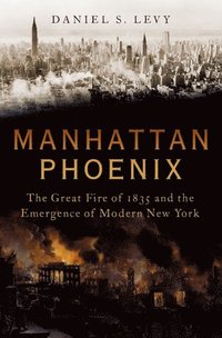 bokomslag Manhattan Phoenix