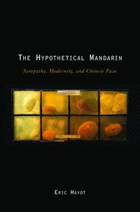 bokomslag The Hypothetical Mandarin