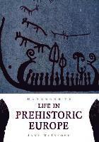 bokomslag Handbook to Life in Prehistoric Europe