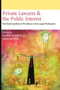 bokomslag Private Lawyers and the Public Interest