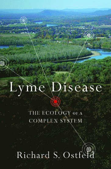 bokomslag Lyme Disease