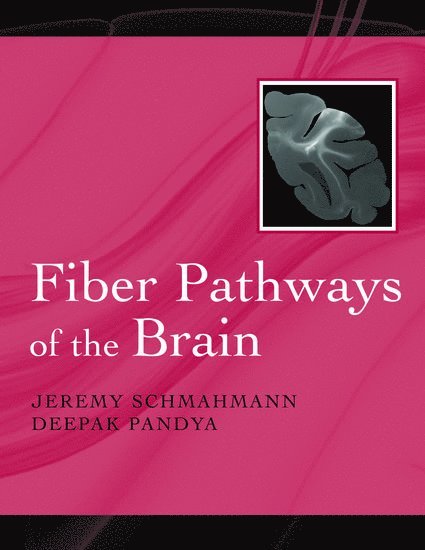 Fiber Pathways of the Brain 1