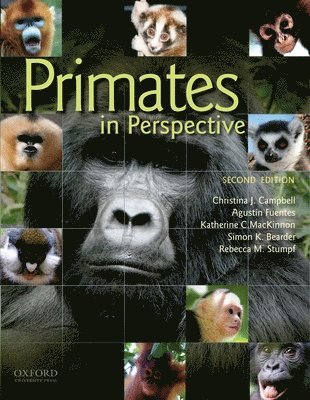 Campbell, Fuentes, MacKinnon, Bearder, Stumpf - Primates In Perspective, Häftad