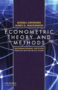 bokomslag Econometric Theory and Methods