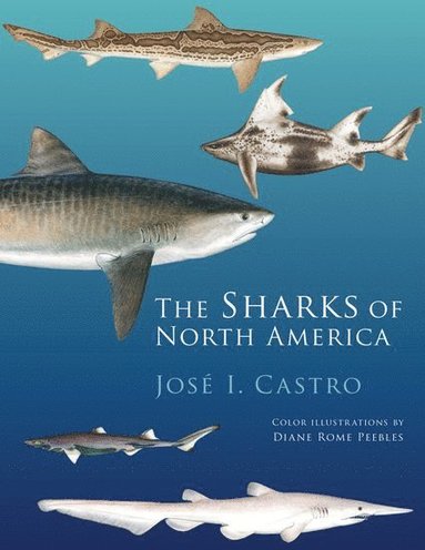 bokomslag The Sharks of North America