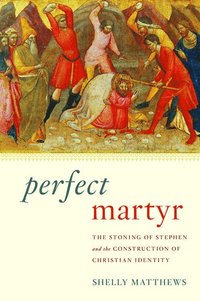 bokomslag Perfect Martyr
