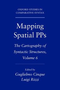 bokomslag Mapping Spatial PPs