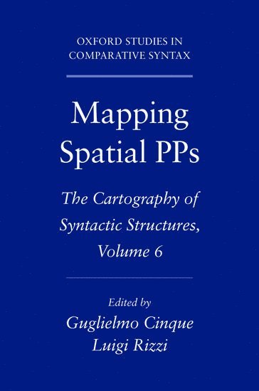 bokomslag Mapping Spatial PPs