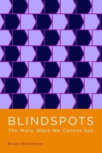 bokomslag Blindspots