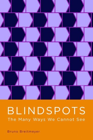 bokomslag Blindspots