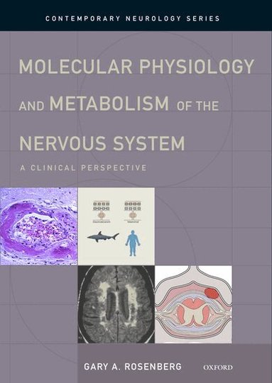 Gary A. Rosenberg - Molecular Physiology and Metabolism of the Nervous System, Inbunden