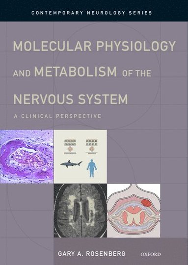 bokomslag Molecular Physiology and Metabolism of the Nervous System