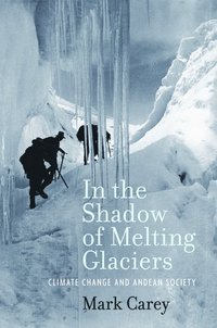 bokomslag In the Shadow of Melting Glaciers