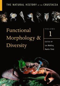 bokomslag Functional Morphology and Diversity
